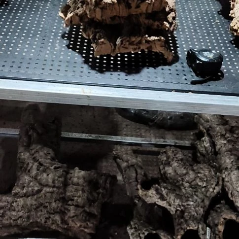 渝***公顺顺利利，平平安安