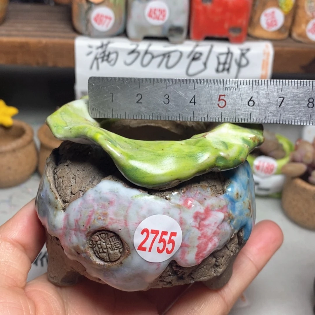 红陶许***后拍3送一个小