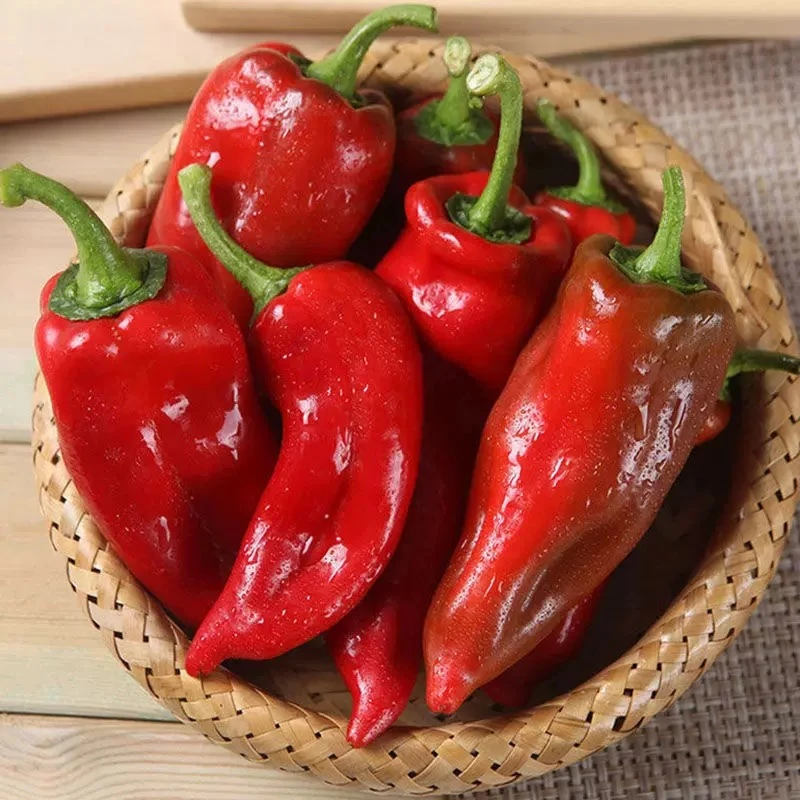 【小时达】大红椒250g/辣椒