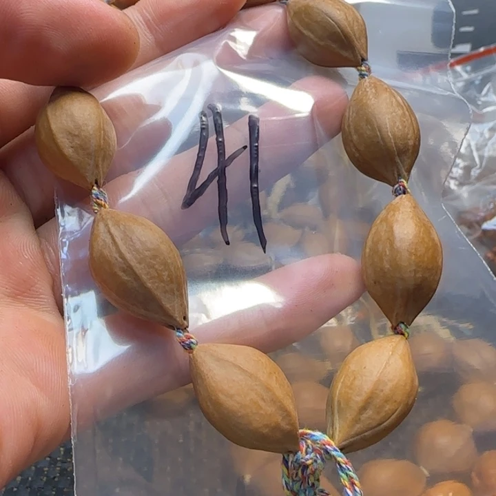 橄榄核手串/手链福利手串