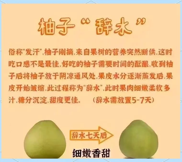 柚见秋光，心甜如初当季新鲜水果