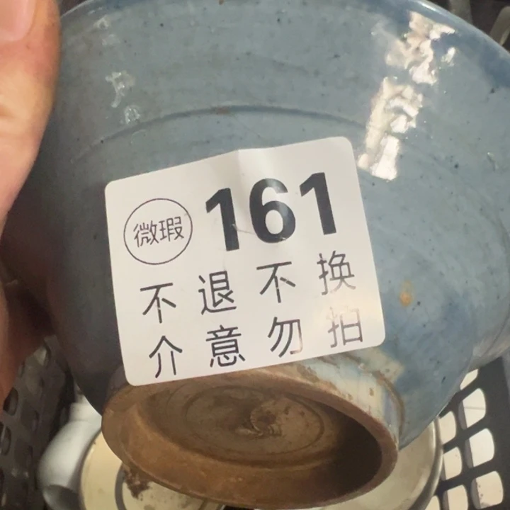周***司多宝个161看好下单不退不换