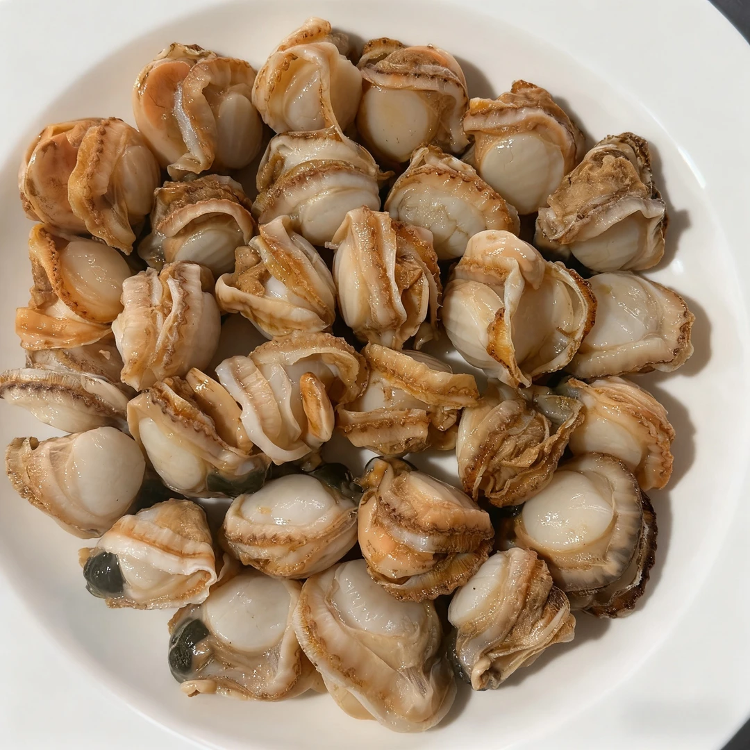 新鲜扇贝肉 5斤  顺丰发货