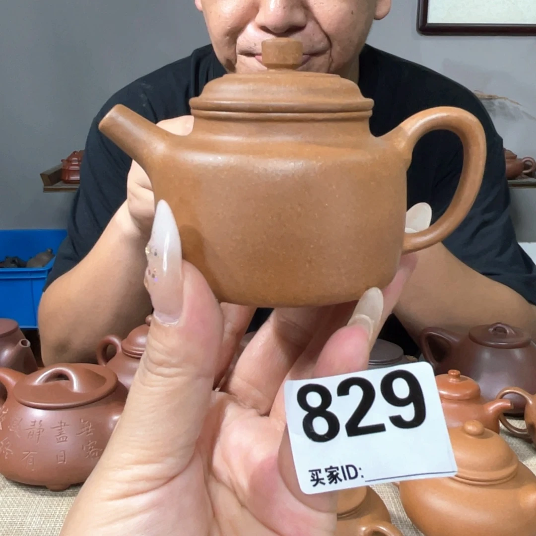 茶壶紫砂宜兴紫砂1111