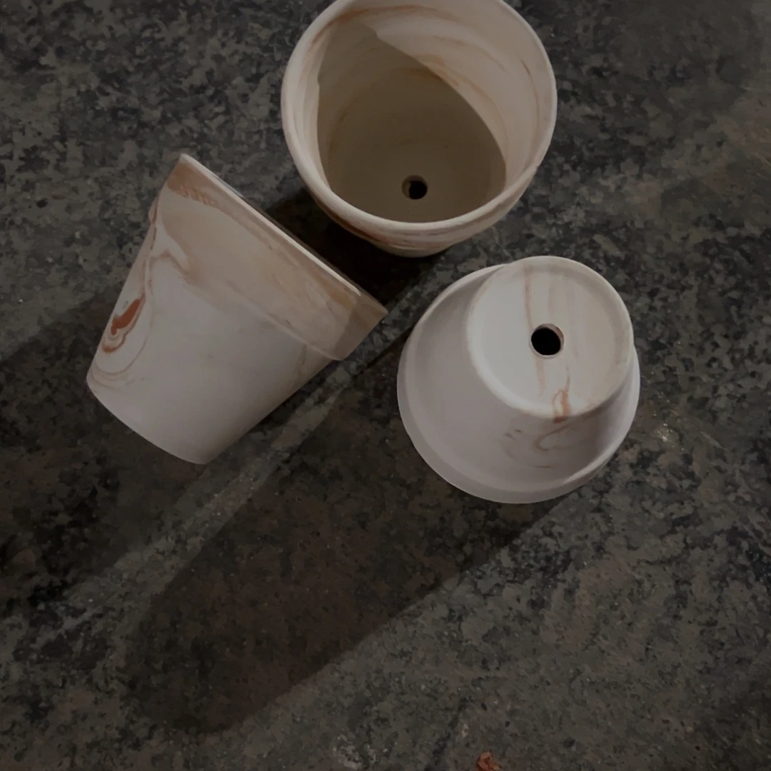 橘里橘气10口10高3个【微瑕】