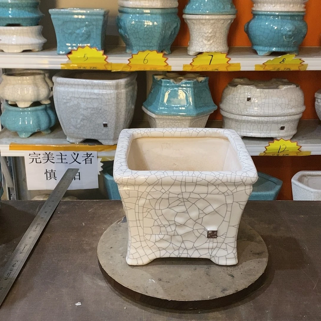 好**林花盆花盆里的花开