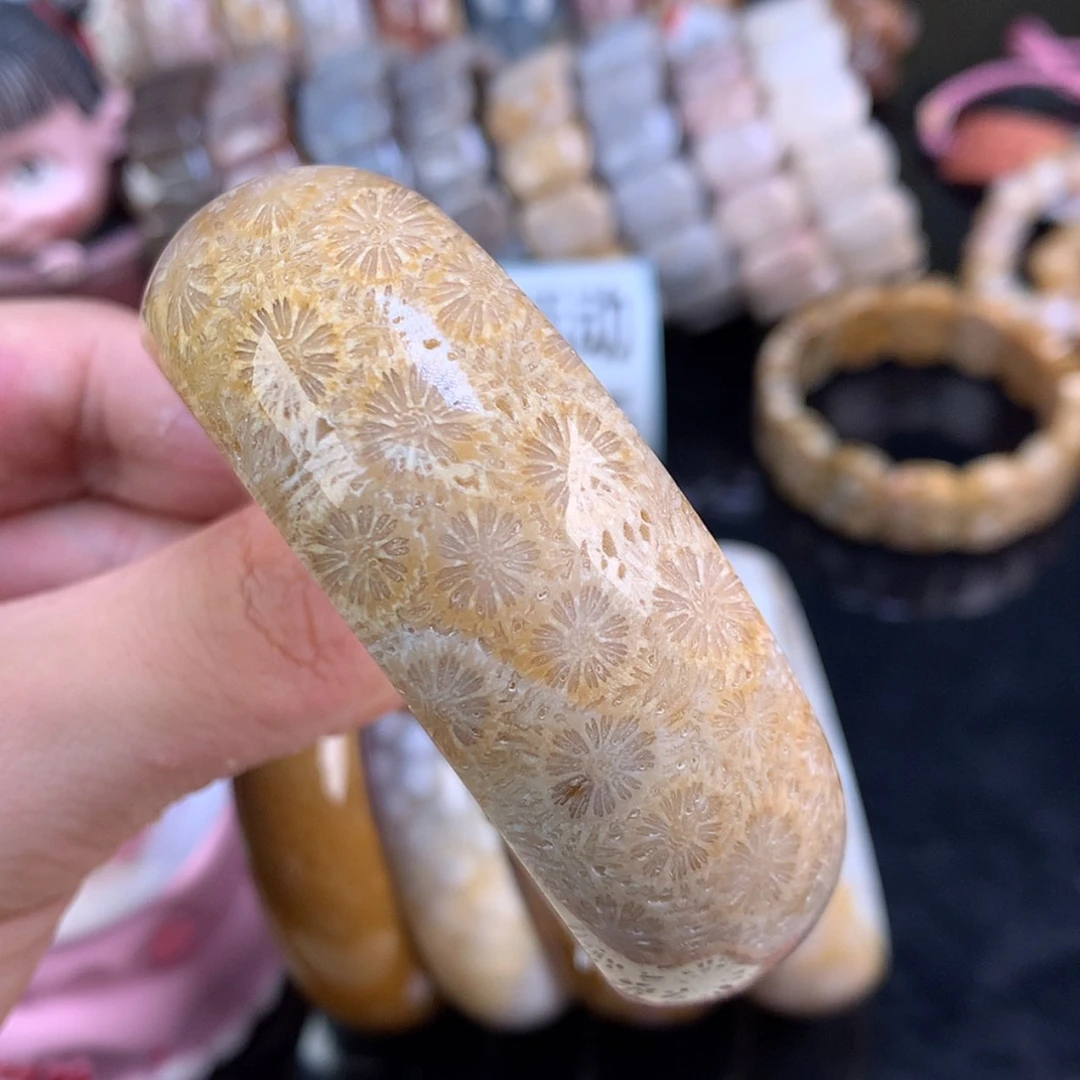 【闪购商品】颈饰未镶嵌硅化珊瑚（珊瑚玉）71号骨骼大花花58.8圈