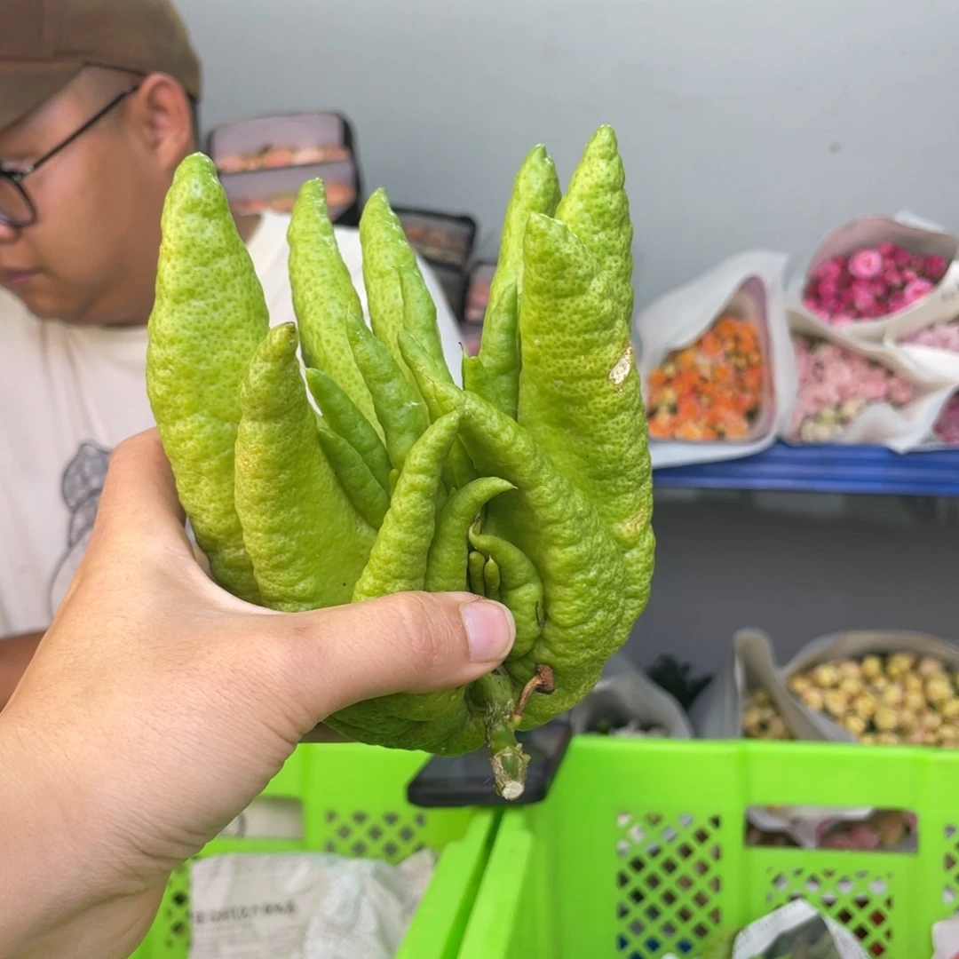 43号佛手1个两单包邮