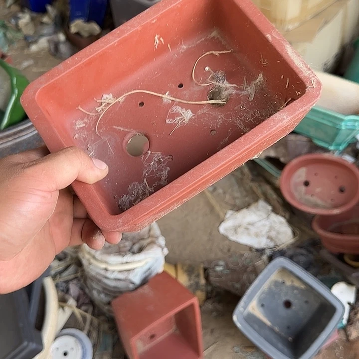 不去看书啊哈在寝室的话我们