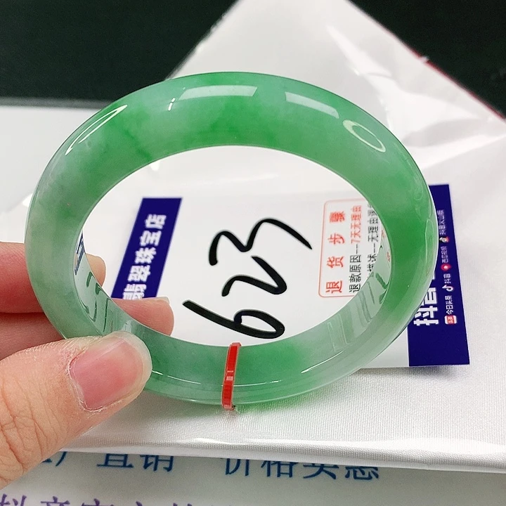 未镶嵌手镯翡翠翡翠