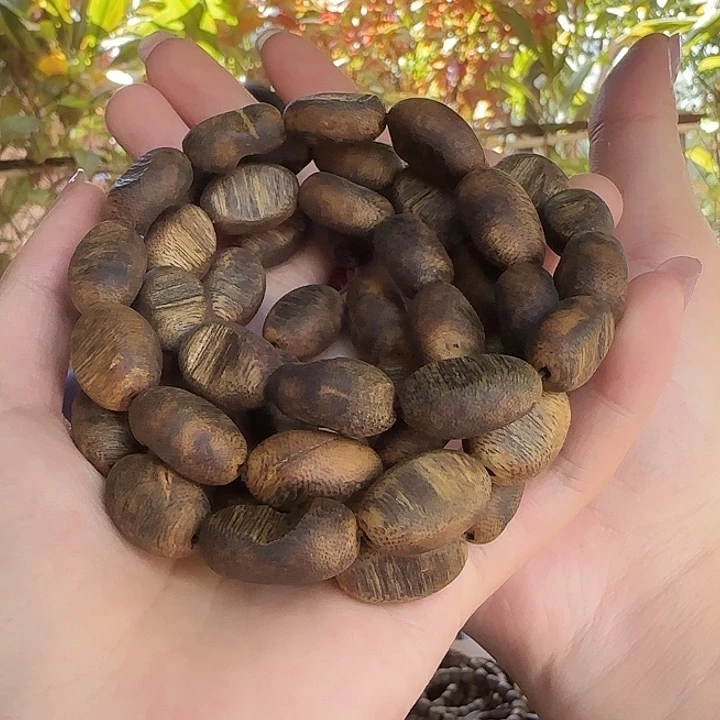 手串沉香沉水浮留疤大料多样性发货一条53克➕