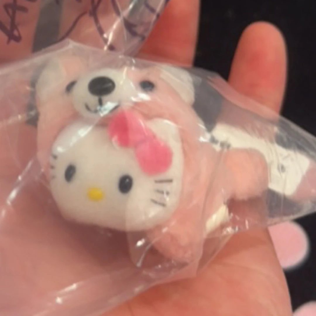 土豆宝宝专拍Kitty