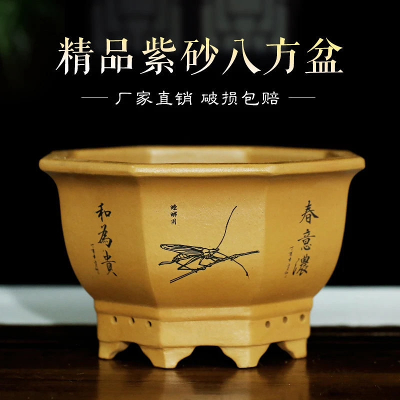 紫砂斗方八方加深大口径盆景花盆仿古老桩兰花金弹子海棠文竹造景