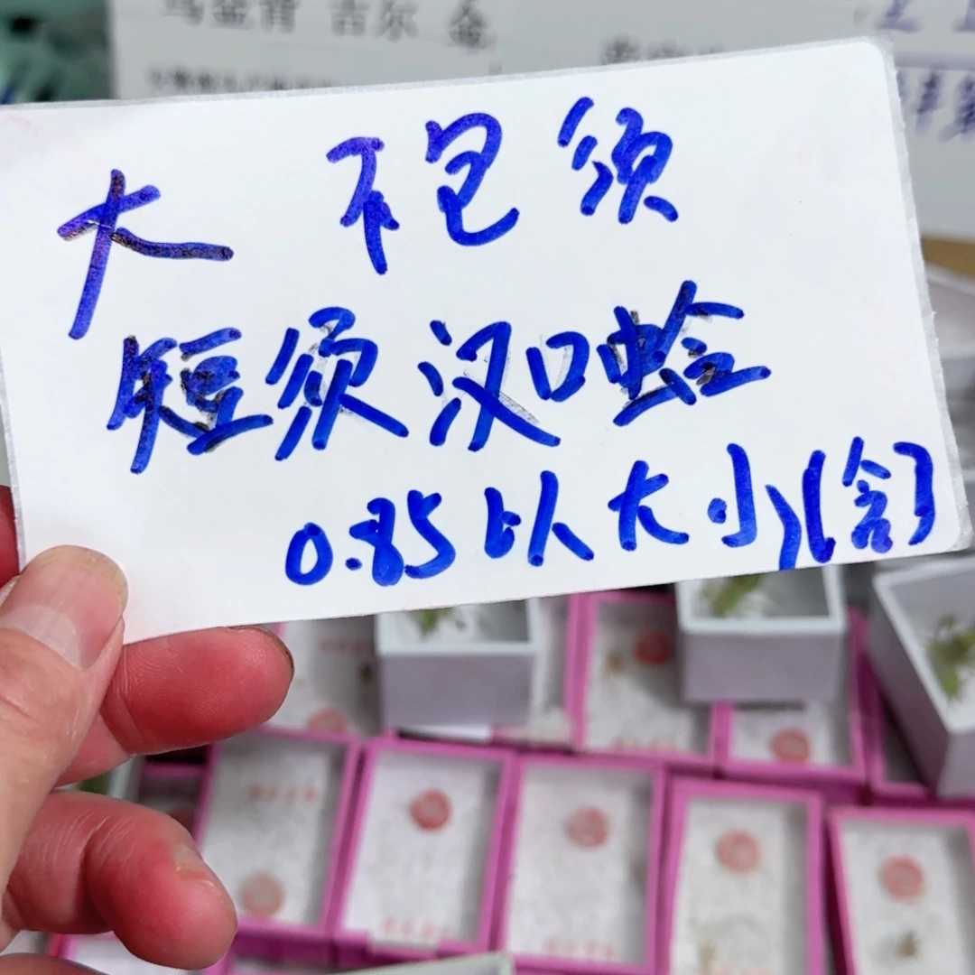 用***6蟋蟀蝈蝈我在外面吃饭了哈