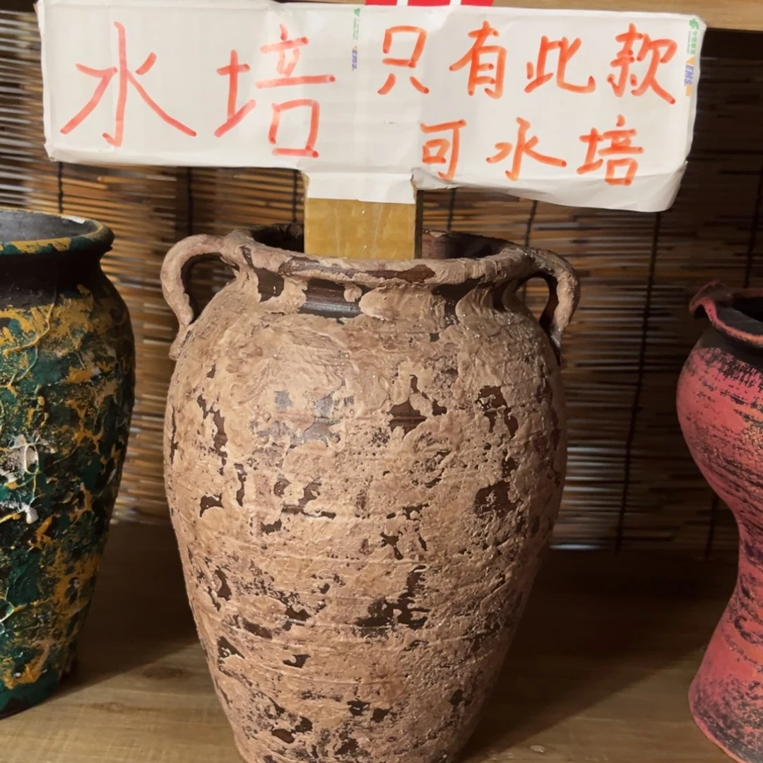 红陶福利炸炸炸炸炸