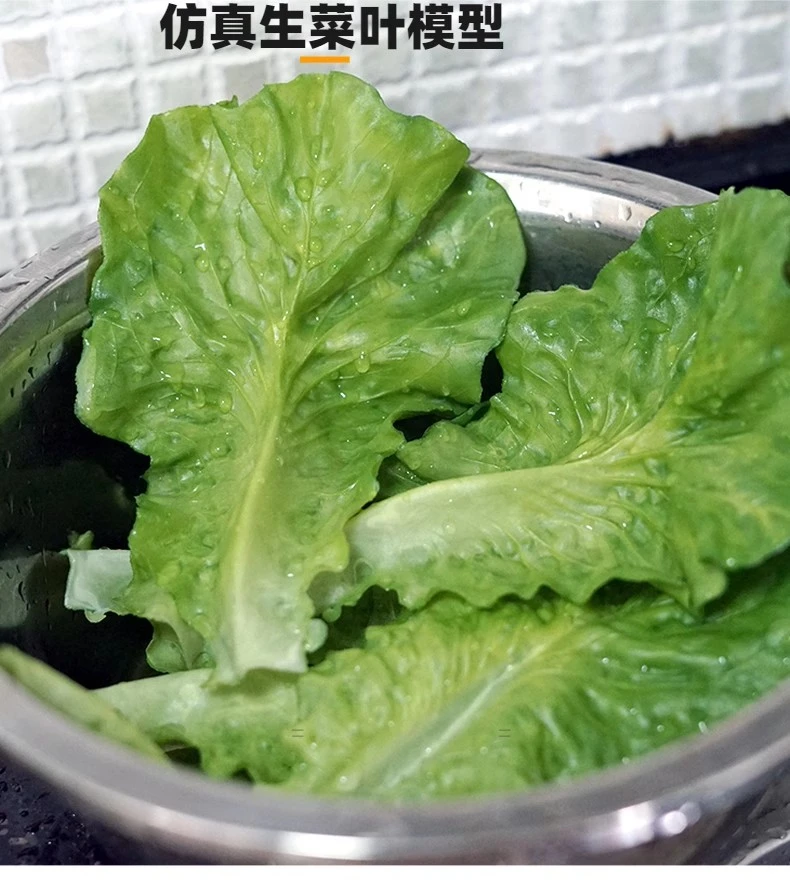 仿真生菜叶模型假蔬菜道具橱柜家居样版房装饰