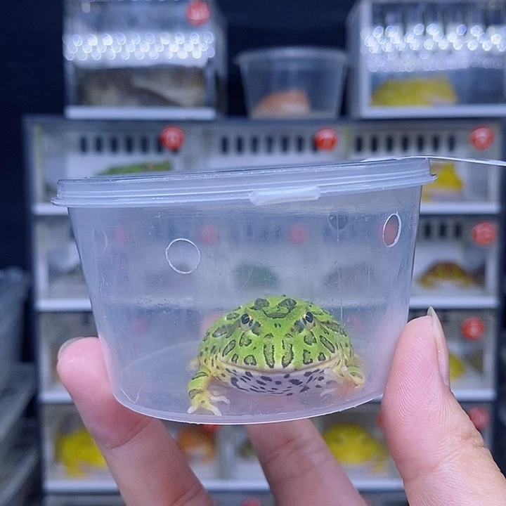 特价秒杀现货特价残