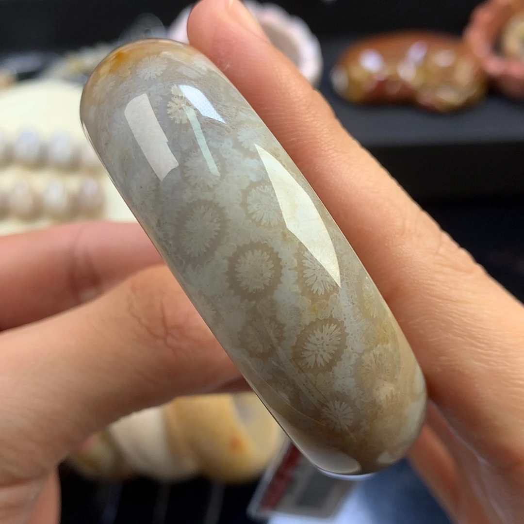 【闪购商品】硅化珊瑚（珊瑚玉）未镶嵌颈饰31号53.3圈