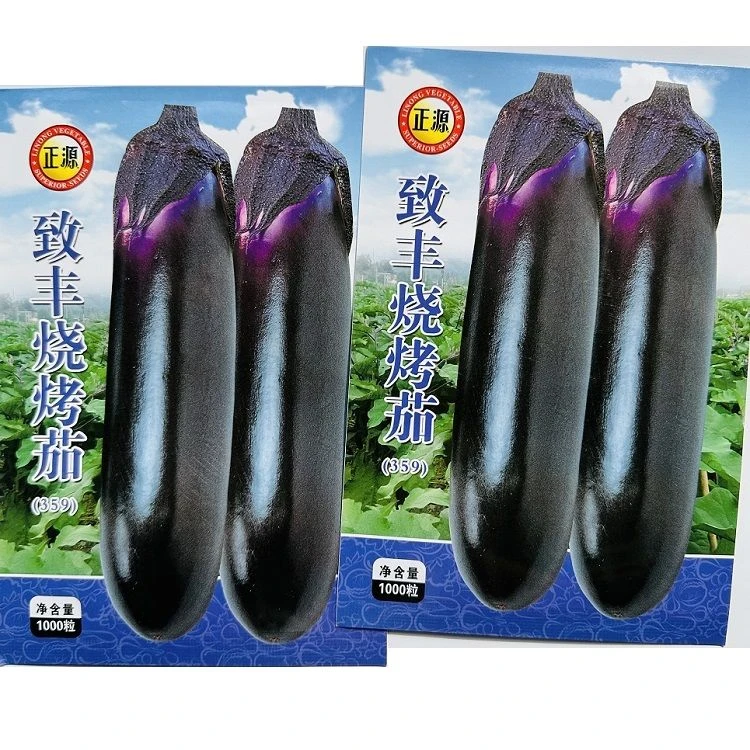 致丰烧烤茄种子紫茄种籽中晚熟深紫皮烧烤茄子种子耐热长茄种籽