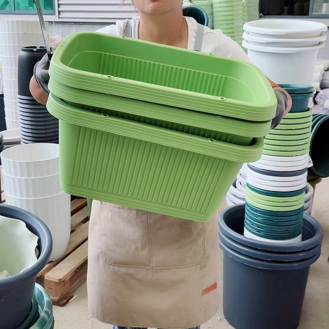 菜盆500#果绿色3个无托