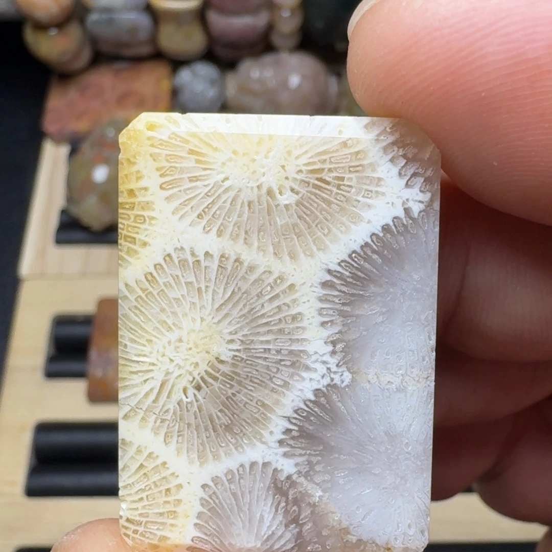 硅化玉未镶嵌纯天然色有机玉石保真色