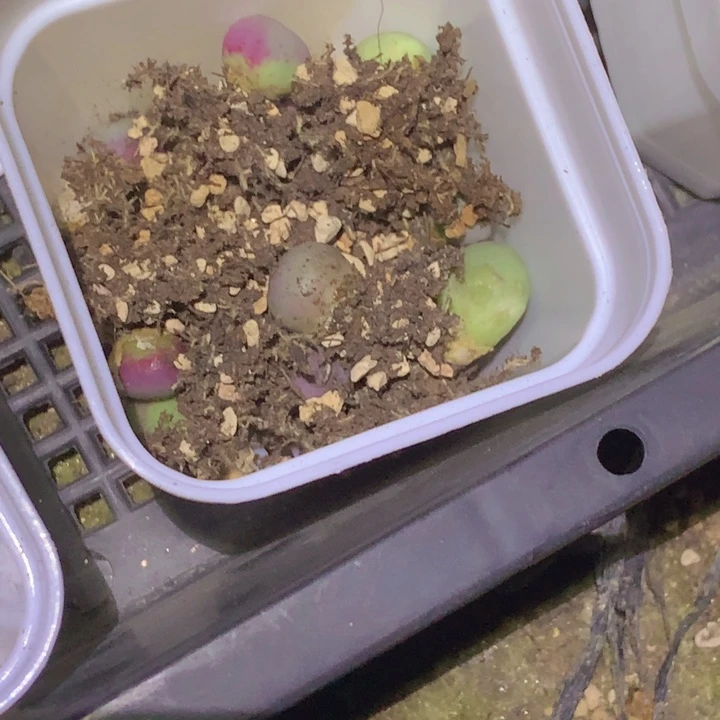 48999 909999999999996