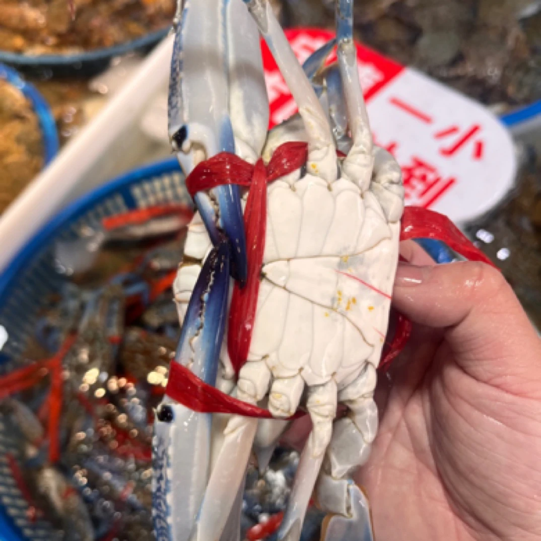 特价大兰花蟹,一斤3只左右,天气热运输过程可能缺氧保鲜不包活