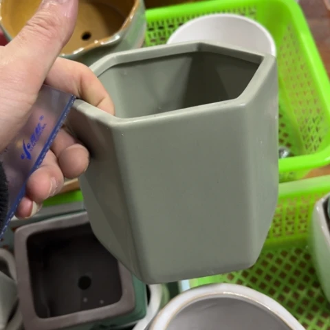 ［所有订单凑满15明天发］11×10