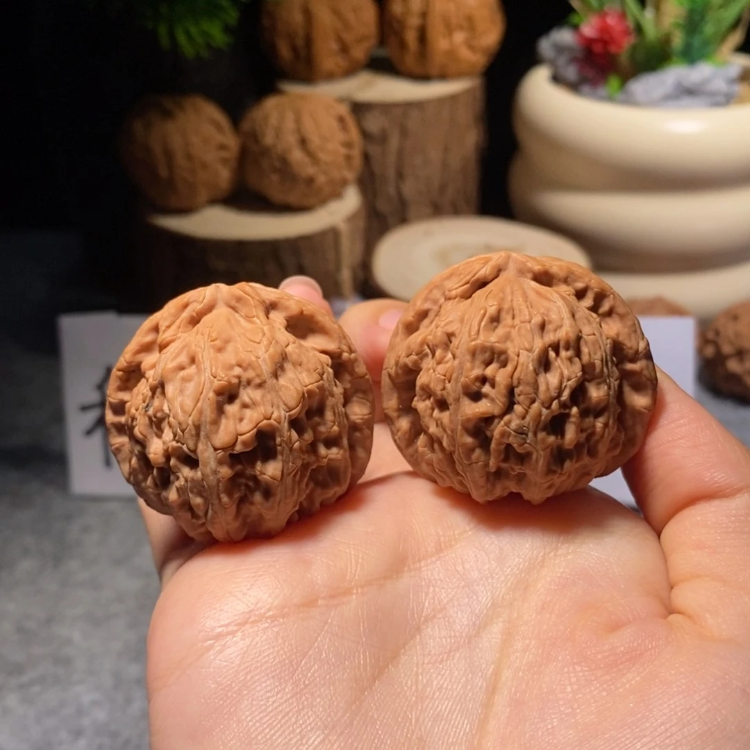 核桃把件全品38白狮子