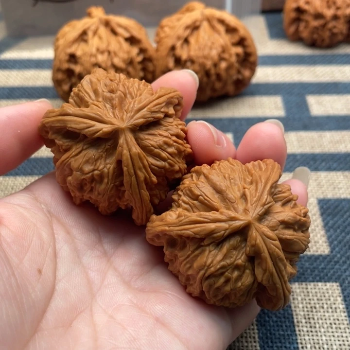 木***子核桃白狮子43核桃