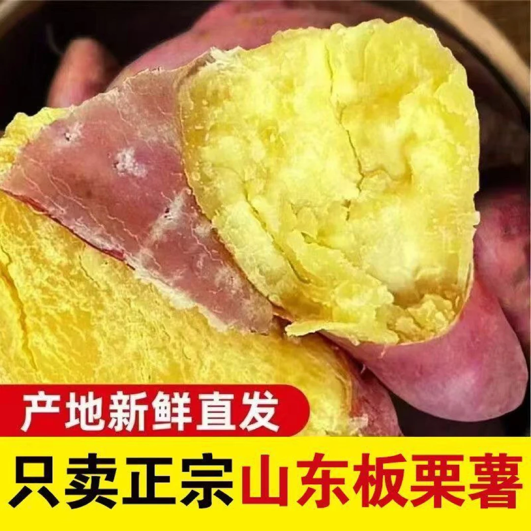 正宗山东沂蒙山黄心板栗蜜薯5斤~香甜面糯蒸烤熬粥新鲜现挖