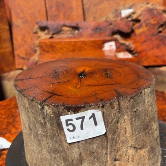 大果紫檀（缅甸花梨）