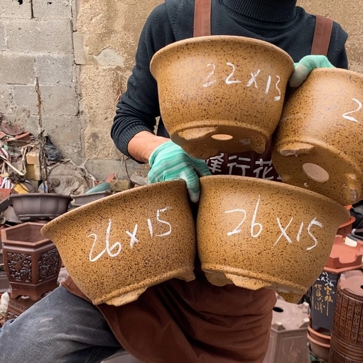 红陶我也想你想要什么礼物