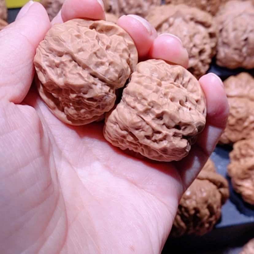 【闪购商品】核桃手串/手链漫*边37蛤蟆头