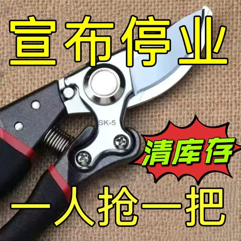 德系工艺多用钢枝剪剪树剪子果树剪修枝剪刀家用花木葡萄修剪树枝