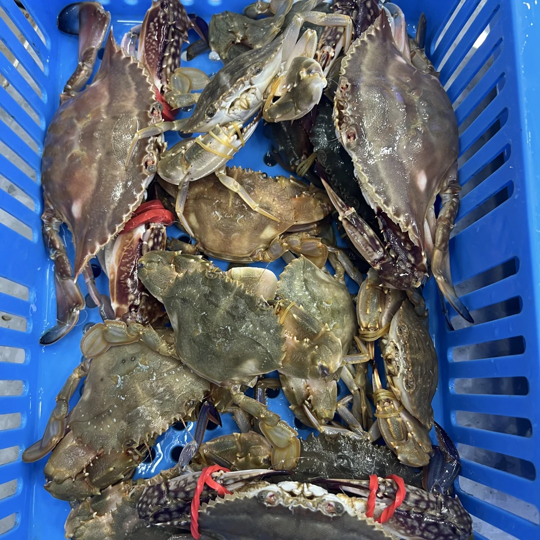 同城配送海鲜大礼包