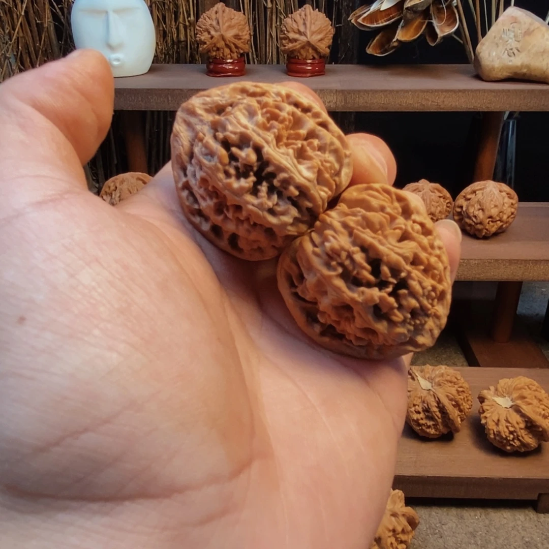 核桃手串/手链41全品龙尊