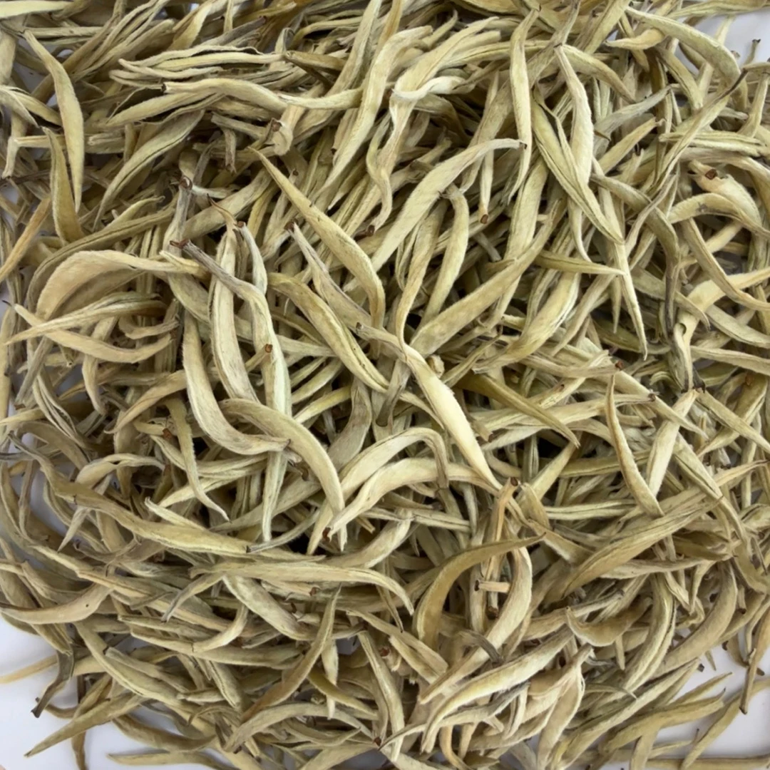 云南白毫银针春茶白茶大白芽