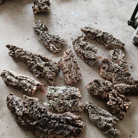 木一物一拍一物一发