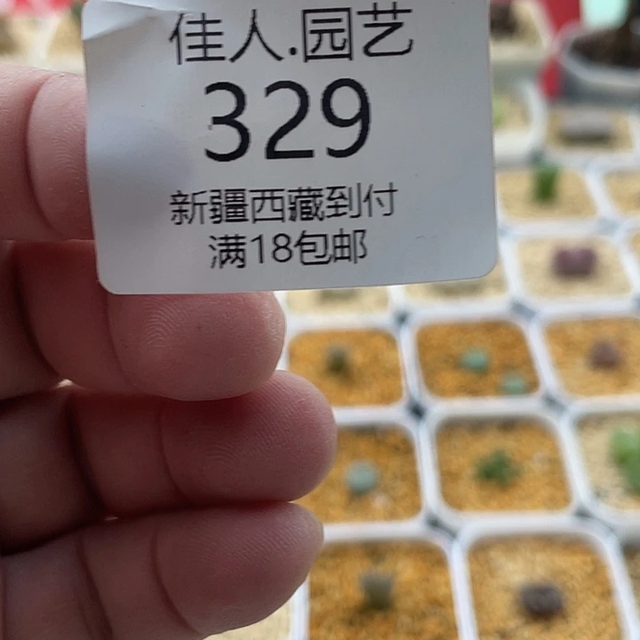 佳人园艺博览会329