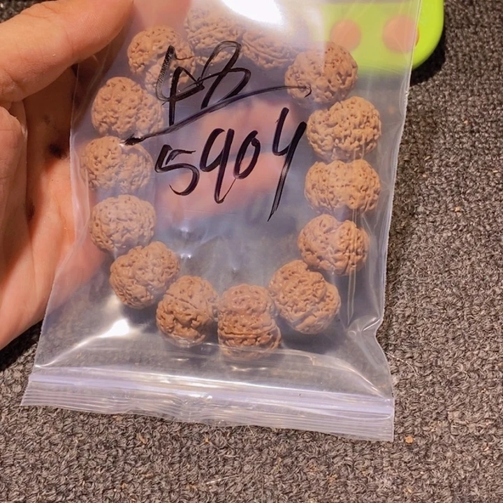 5***9吊坠金刚菩提你也快休息啦明天你的