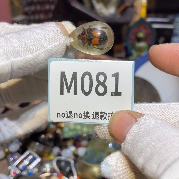 北***妞陶瓷二表姐直播火爆热卖