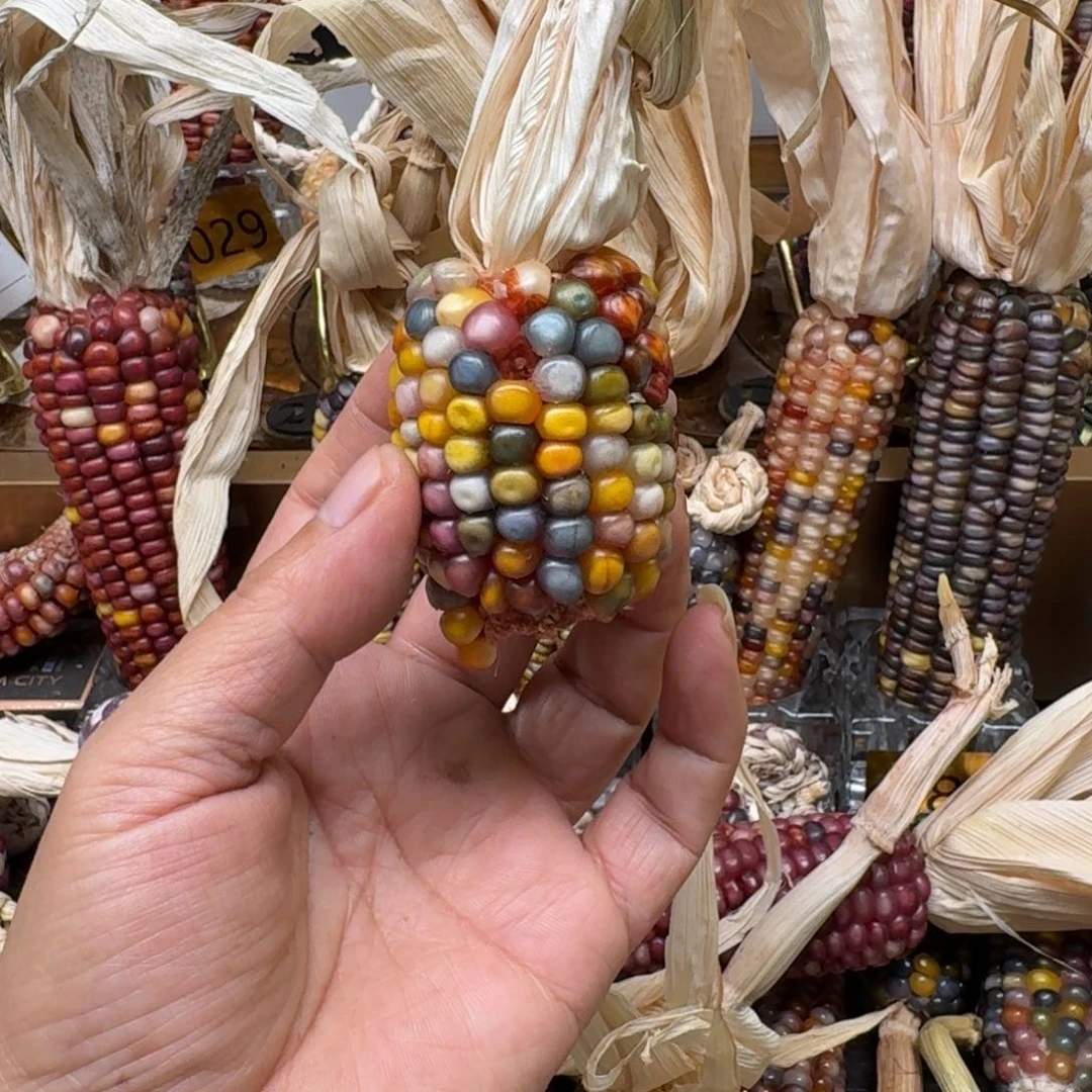 柏香籽/百香籽吊坠東*～