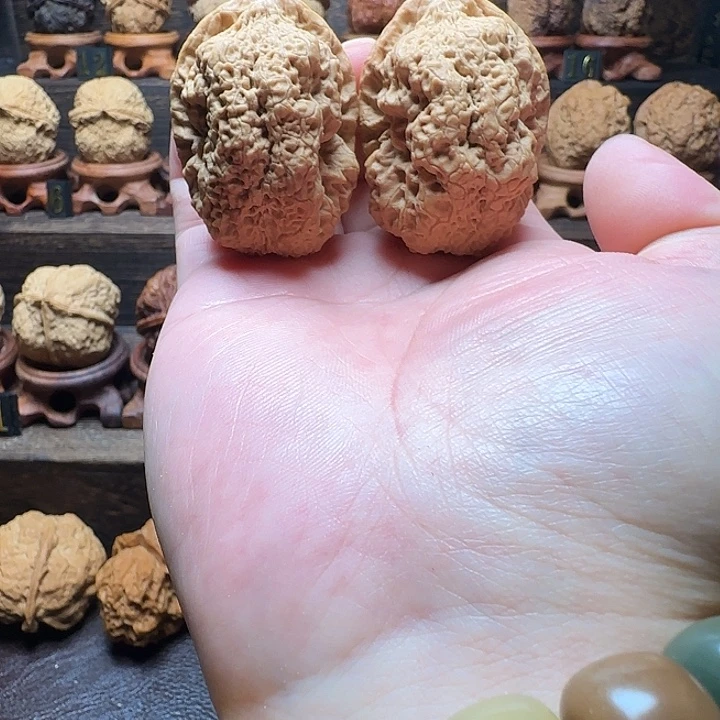 木质类瀚海独家中华龙脉40尺