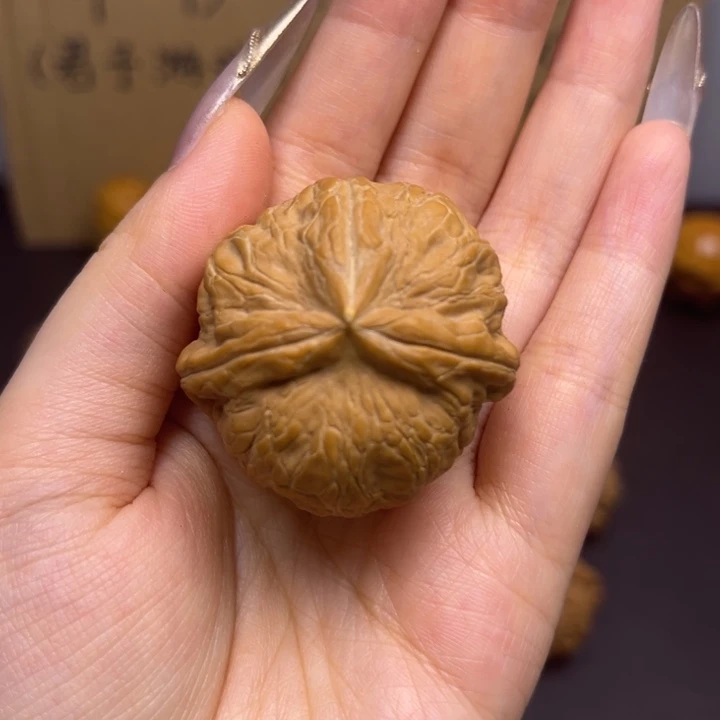 一***之菩提籽类元宝三棱单只