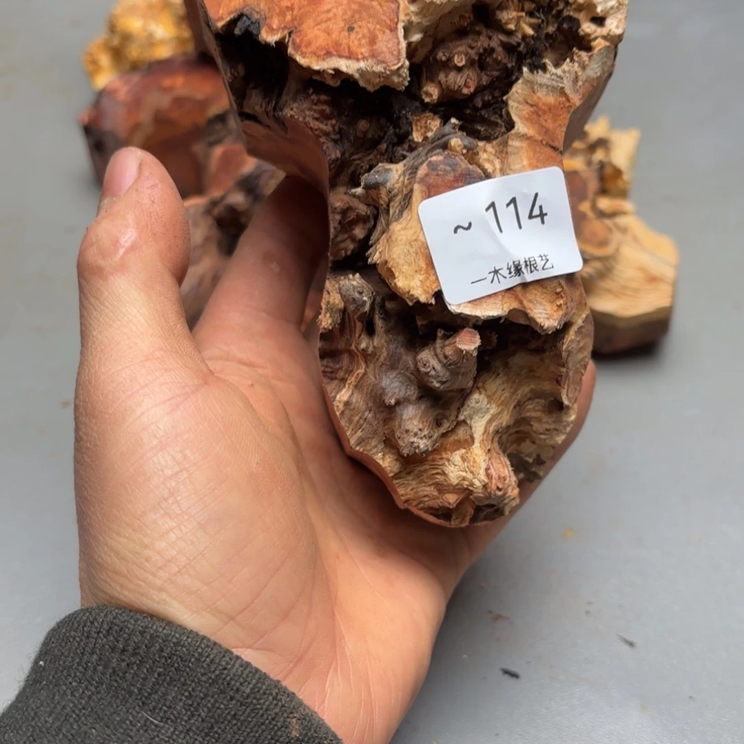 广***生无花朵          114