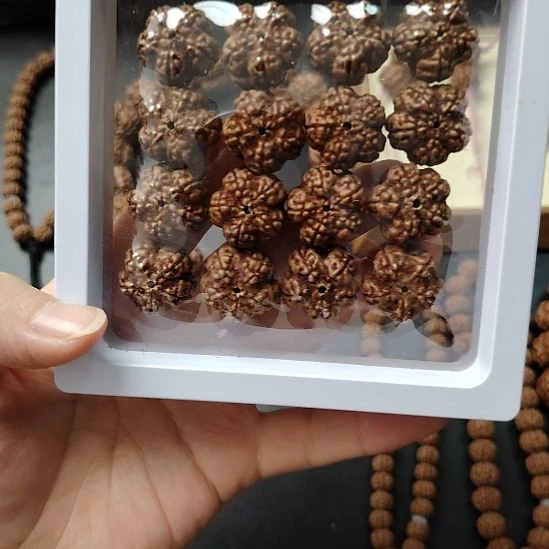 金刚菩提手串绝情帝王花手串