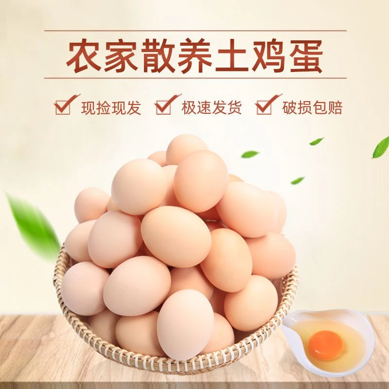 【山西刘洋洋专属】正宗土鸡蛋 农家散养新鲜土鸡蛋