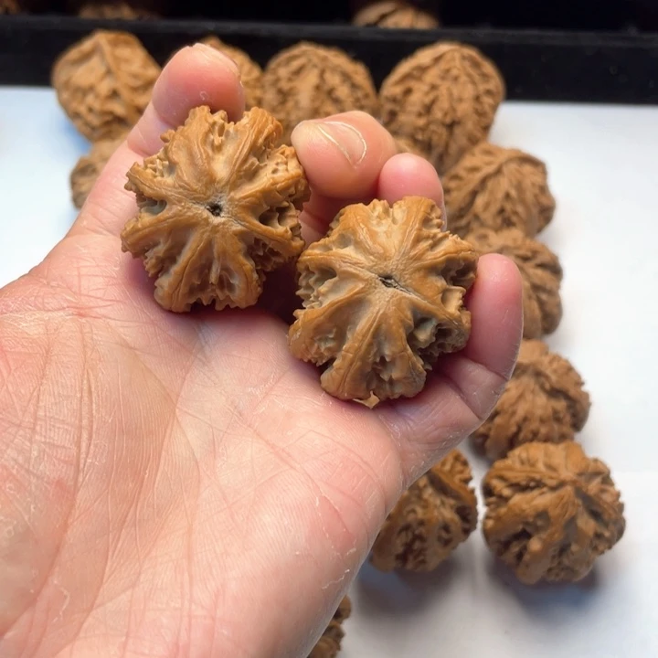 文玩核桃把件文玩城的小伙伴们都