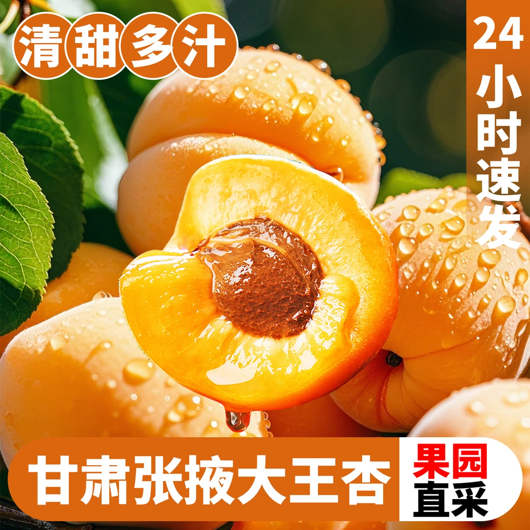 甘肃大杏王3斤新鲜采摘多汁果香浓郁一口爆汁